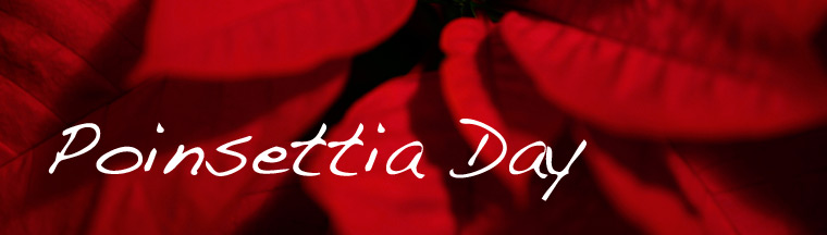 PoinsettiaDay.com